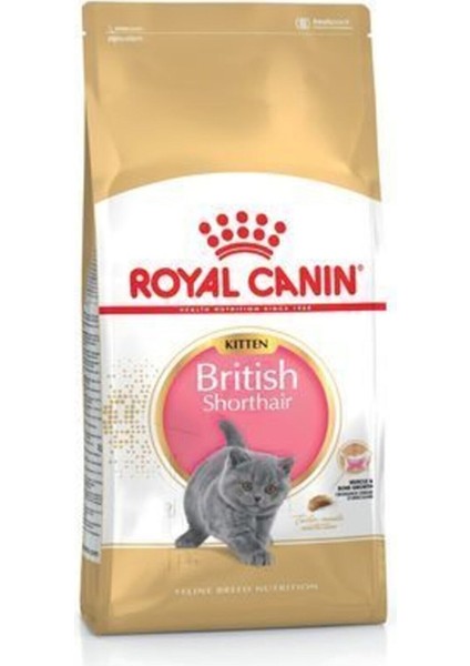 British Shorthair Kitten Kedi Kuru Maması 2 kg