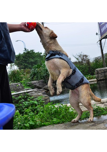 Köpekler için Yüzme Can Yeleği - Siyah (Yurt Dışından)