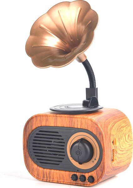 Taşınabilir Nostaljik B5 Speaker Gramofon Radyo/usb/sd/bluetooth Hoparlör 22 cm Mini Boy Retro Radyo | RRG-1