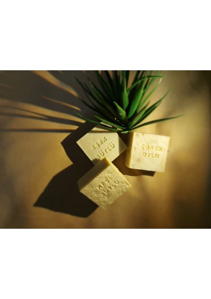 Doğal Eşek Sütü Sabunu fiyatları