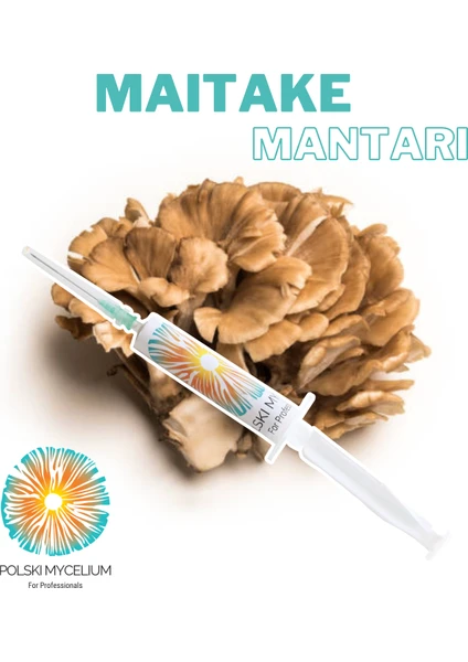 Polski Mycelium  Maitake Mantarı Sıvı Miseli 5 ml Mantar Tohumu Mantar Miseli Kompost Üretmek Için Ana Kültür