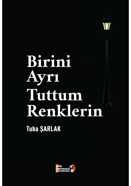 Birini Ayrı Tuttum Renklerin - Tuba Şarlak