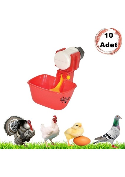 Tavuk Hindi Civciv Depo Kullanımı Için Dilli Çanak Suluk 10 Adet Güvercin Keklik Hindi Ördek Sülün fiyatları