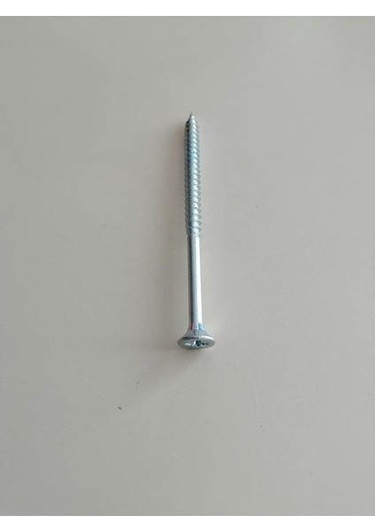 6X100 mm Seyrek Diş Plst Dübel Vidası 10 Adet