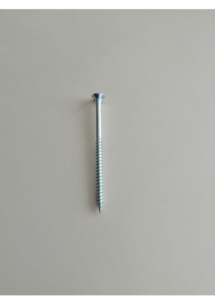 6X100 mm Seyrek Diş Plst Dübel Vidası 10 Adet fiyatları