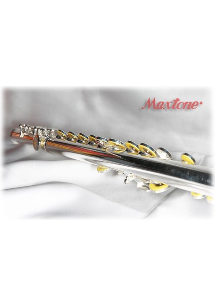 MAXTONE TFC-53SE GÜMÜŞ KAPLAMA FLÜT fiyatları