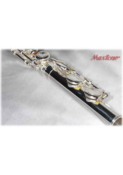 MAXTONE TFC-53SE GÜMÜŞ KAPLAMA FLÜT modelleri