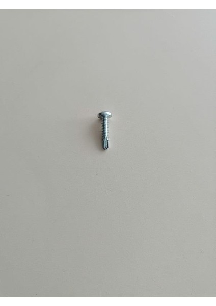 4,8*22 mm Ysbmu Vida 25 Adet