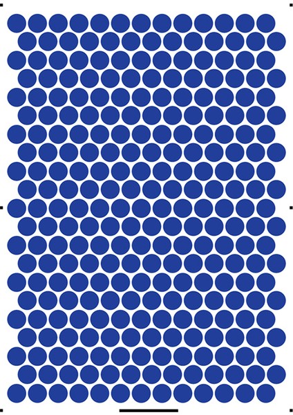 2cm Çaplı Yuvarlak Renkli Etiketler