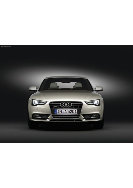 Audi A5 2008-2016 Motor Kaputu Kapağı Kapak Amortisörü Pistonu 8T0823359