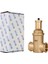1'' (DN25) Ultraplus Pirinç Hava Ayırıcı 2