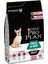 Köpek Maması Yetişkin Somonlu Small&mini 3 kg 1
