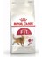 Fit 32 Kedi Maması 2 kg 1