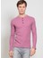 Sweatshirt 2