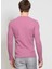 Sweatshirt 3
