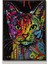 Ahşap Tablo Eski Sayılarla Boyama Kedi Görseli Baskılı 20 x 30 cm 1