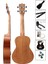 SP-21MT Set Maun Soprano Ukulele (Çanta Stand Askı Yedek Tel Metod Pena) 2
