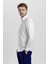 Balenli Slim Fit Erkek Gömlek 2