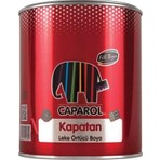 Filli Boya Renkli Kapatıcı Boya 0,25 lt İç Mekanlarda Mükemmel Uygulama Özellikleri