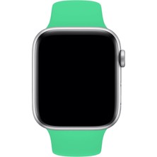 Cekuonline Apple Watch 1 2 3 4 5 6 7 Se 38MM Klasik Silikon Kordon Kayış Kayalık Spearmint + Popsoket