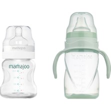 Mamajoo Antikolik Biberon 150 ml & Antikolik Akıtmaz Alıştırma Bardağı 270 ml – Powder Green