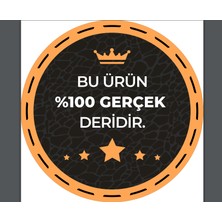 GoDeri  Deri Gümüş Cɔ Tokalı Tosado Kadın Kemeri, 3cm