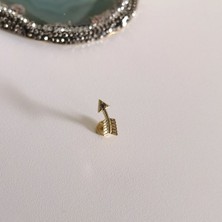 Bylin Cerrahi Çelik Gold Ok Piercing - Bar Uzunluğu 6 mm - 1 Adet