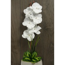 Mini Hediye Yapay Orkide Çiçeği Beton Saksıda Kadife Orkide Vazoda Çiçek