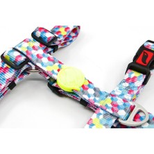 Tailpetz H Tipi Göğüs Tasması X-Small Cube
