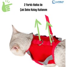 Evene Kedi Tasması Göğüs Boyun Tasma Seti Sevk Kayışlı Terletmeyen Nefes Alan Reflektörlü Tasma Kırmızı S