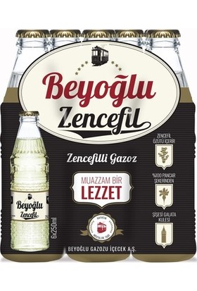 Beyoğlu Zencefilli Gazoz 12'li