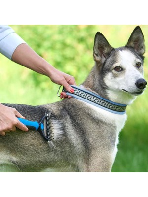 Erbilden Plastik Saplı Metal Kedi Köpek Bakım Kıtık Tüy Topak Açıcı Tarak