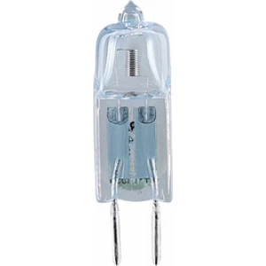 Halostar 20W 12V G4 Duy Iğne Bacak Sarı Işık Halojen Kapsül Ampul