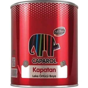 Filli Boya Filli Kapatan Boya 2,5