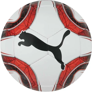 Final Hs Trainer Dikişli 5 No Futbol Topu 082911-03