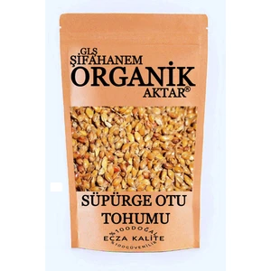 GLŞ Şifahanem Organik Aktar Süpürge Otu Tohumu 100 gr