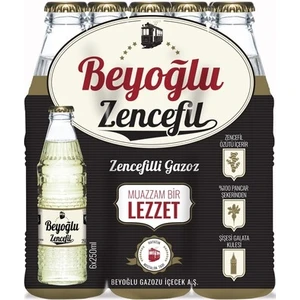 Zencefilli Gazoz 6'lı