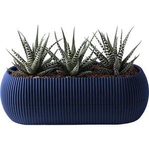 1,3 Litre Gece Mavisi Uzun Mercan Saksı Plastik Kaktüs Sukulent Saksısı No2