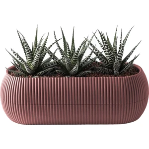 1,3 Litre Soft Pembe Uzun Mercan Saksı Plastik Kaktüs Sukulent Saksısı No2