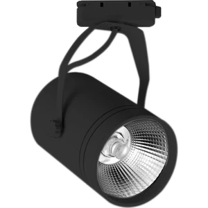AD30-01931 6500K Beyaz 30W Siyah Kasa Cob LED Ray Spot Armatür