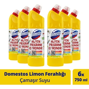 Limon Ferahlığı Çamaşır Suyu (6X750 Ml)