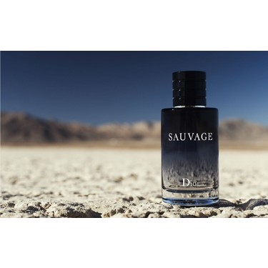 Dior Sauvage 100 ml Edt Erkek Parfüm Fiyatı - Taksit Seçenekleri