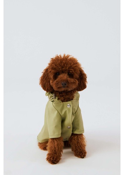 Çıtçıtlı Köpek Yağmurluk Yeşil 6