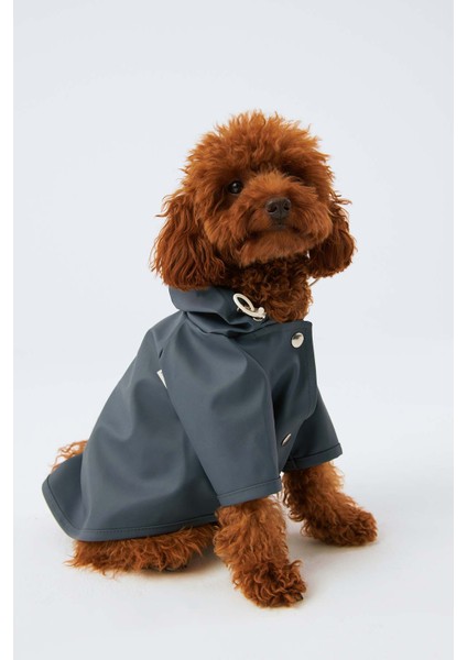 Çıtçıtlı Köpek Yağmurluk Mavi 5
