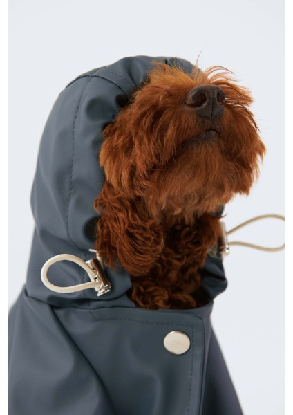 Çıtçıtlı Köpek Yağmurluk Mavi 5 fiyatları