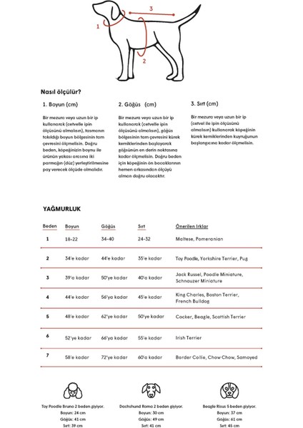 Çıtçıtlı Köpek Yağmurluk Mavi 5 indirimleri