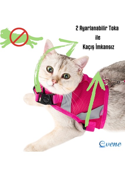 Kedi Tasması Göğüs Boyun Tasma Seti Sevk Kayışlı Terletmeyen Nefes Alan Reflektörlü Tasma modelleri