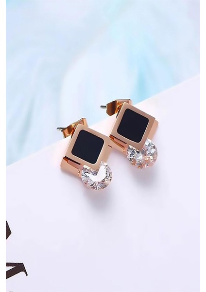 Luisa Kararmayan Bayan Çelik Küpe