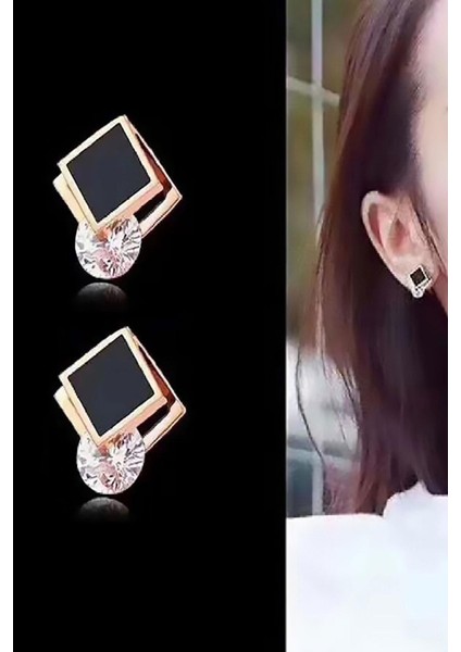 Luisa Kararmayan Bayan Çelik Küpe fiyatları