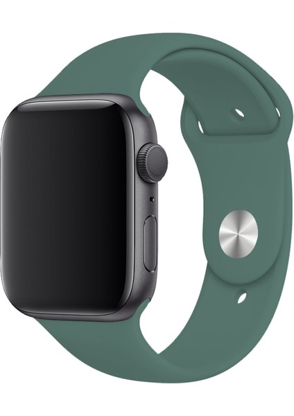 Apple Watch 1 2 3 4 5 6 7 Se 40MM Klasik Silikon Kordon Kayış Kayalık Pine Green